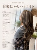 白髪ぼかしハイライトカラー