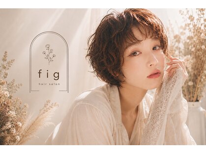 フィグ(fig)の写真