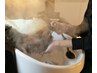 全体オーガニックカラー＋ボタニカルヘッドスパ(３０分) トリートメント込み
