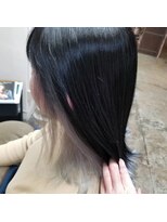 ゼットサロン(Z SALON) カラースタイル集３００　ー０２３ー　インナーシルバーカラー