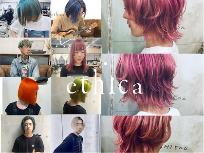 エシカ(ethica)の写真