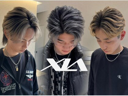 シア(XIA)の写真