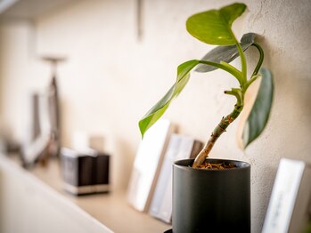 マロウ(mallow)の写真/【あなたの髪にも“らしさ”を】年齢と共に変化する髪質やお悩みを改善し、個性を活かした若々しい印象に☆