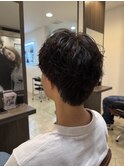 豊橋ビーシャイン★マッシュウルフ