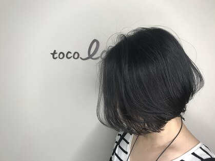 トコラソ(tocolaso)の写真