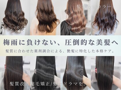 リタ(rita)の写真