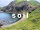 ソイル(soil)の写真