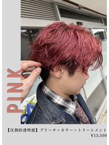 ネリネ(Nerine)&nbsp;ピンク