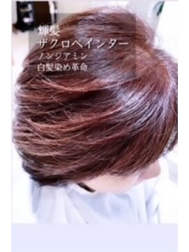 デイシーアンドコー(Deicy&Co) キラ髪ザクロペインター(ノンジアミン白髪染め)　ショート