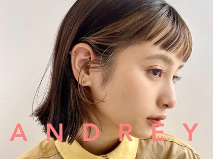 アンドレイ 表参道(andrey)の写真