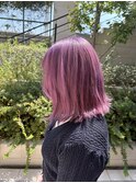 ピンクラベンダー