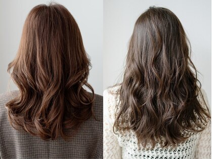 スーパーセッションアクシス(SUPERSESSION Axis)の写真