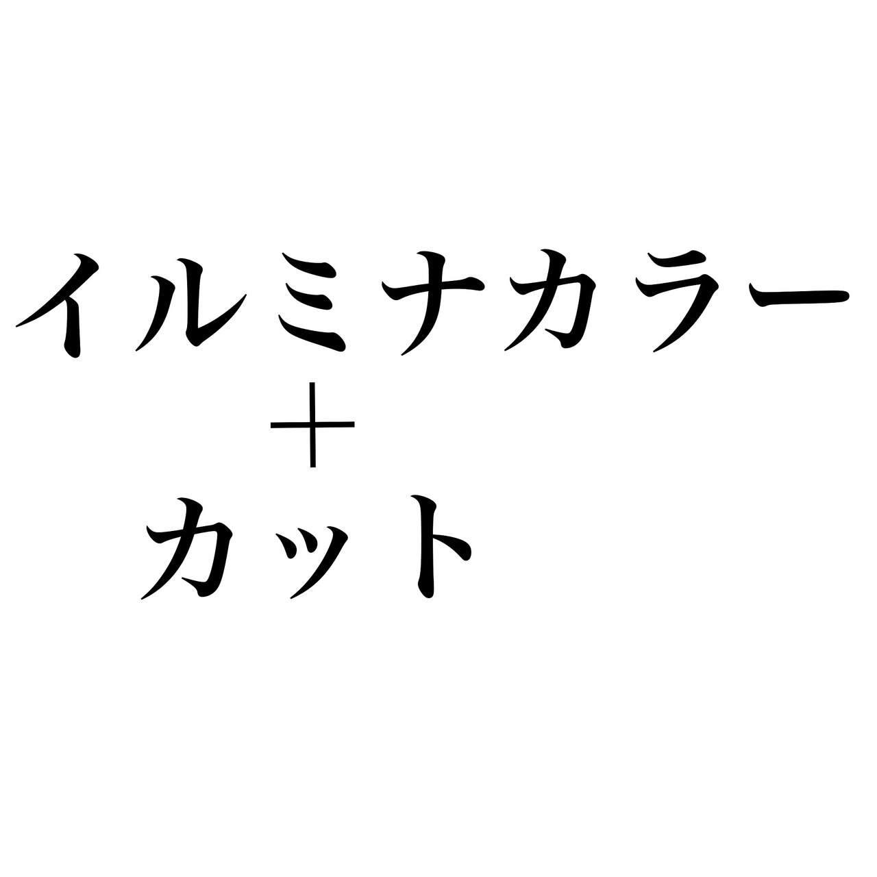 カット ＋ イルミナカラー  ( 白髪染めOK ) 【外国人風な透明感】