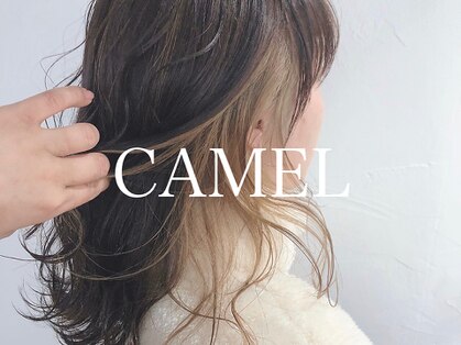 キャメル(CAMEL)の写真