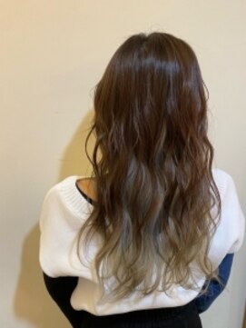 ペッツ(PETZ) インナーシルバーカラー