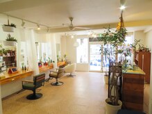 オーガニックヘアサロン ツリー(organic hair salon Tree)