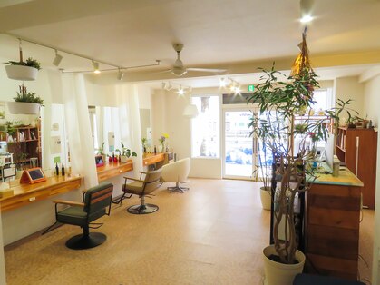 オーガニックヘアサロン ツリー(organic hair salon Tree)の写真