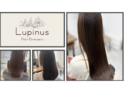 ルピナス 北千住(Lupinus)の写真