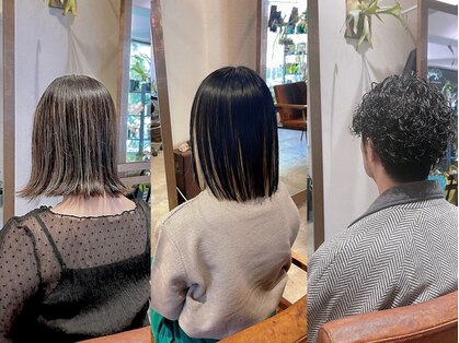 ヘケム(hekm)の写真