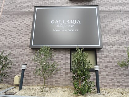 ガレリアエレガンテウエスト 名古屋WEST(GALLARIA Elegante)の写真