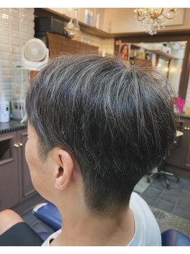 ルピナス 中田(Lupinus) シルバーメッシュスタイル