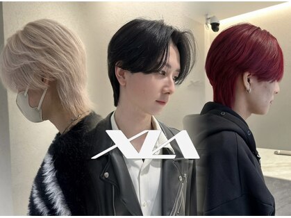 シア(XIA)の写真