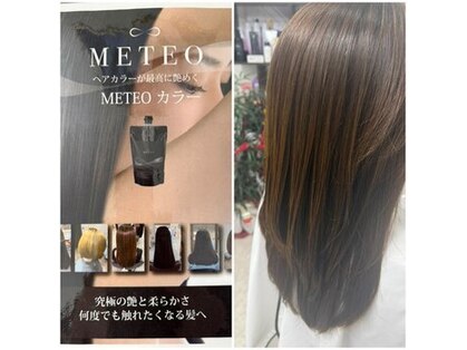 シナ(SHINA)の写真