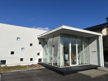 ＬＡＰ．Ｓ　【ラップス】