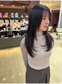フェイスレイヤー