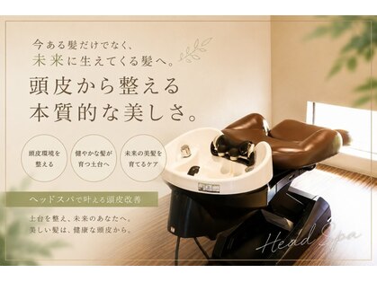 エフプロモーションヴァンカウンシルブリーズ(VAN COUNCIL BReeze)の写真