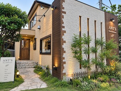 アンツ ヘアーアンドリゾート 辻堂本店(ANT'S Hair and Resort)の写真