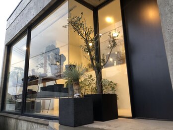 シータ(CITA)の写真/【新小松イオン近く】緑に囲まれた店内で心までゆったりとリフレッシュ◆こだわりの寛ぎの空間に癒されてー