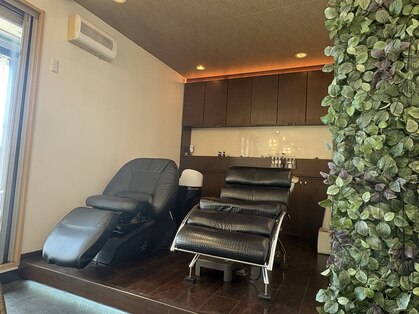 ファインヘアー(Fine Hair)の写真