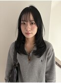 ミディアムレイヤー