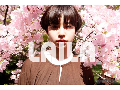 ライラ(LAILA)の写真