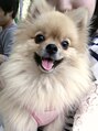 ピクシー美容室 小野家 ひとみ
