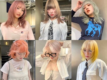 フェブ(fev)の写真
