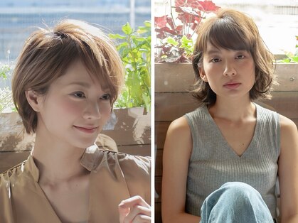 コージー(COZY)の写真