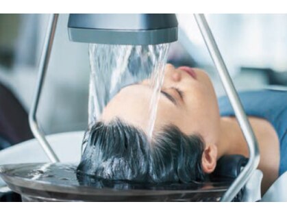 ハナ(Hana)の写真