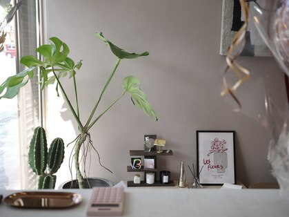 プレヌ(PLENU.)の写真