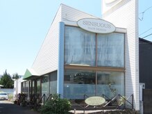 センシュアスヘアデザイン(Sensuous Hair Design)の雰囲気（自然光が降り注ぎ、温かみを感じる店内は居心地良さ◎）
