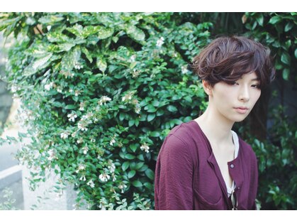キヨイ(kiyoi)の写真