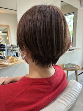本と南風 guest design
