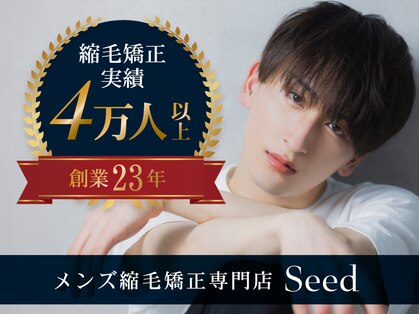 シード(Seed)の写真