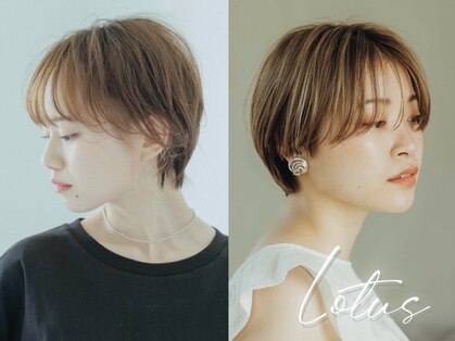 ロータス(LOTUS)の写真