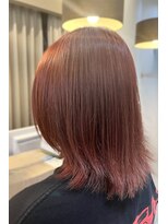 タヤ 相模大野店(TAYA) ダブルカラー レッド