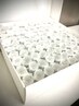 【男性専用初回限定】頭皮診断×ヘッドスパ×幹細胞ケア　24200円→12100円