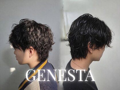 ジェネスタ(GENESTA)の写真