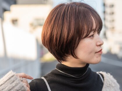 チュール(ture)の写真
