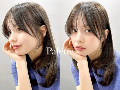 パレット(PALETTE)の写真